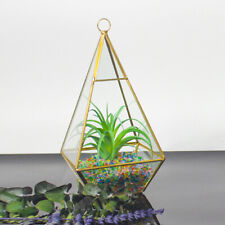 Geometric Fleshy Glass Flower House Crafts Greenhouse DIY Flower Decoration picture