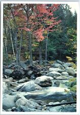 Postcard - Nature Stream Scenery picture