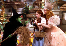 DOROTHY - WICKED & GOOD WITCH - WIZARD OF OZ - REFRIGERATOR PHOTO MAGNET @ 3
