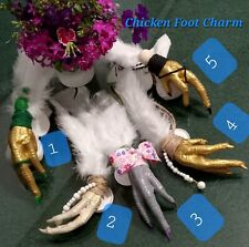 Chicken Foot For Protection Hoodoo Voodoo Spell Dried Hanging Decal options 1-5  picture