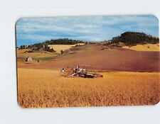 Postcard The Land of the Palouse Wheat & Edible Peas Field near Palouse WA USA picture