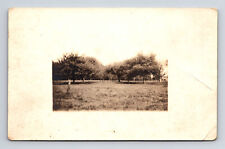RPPC Unknown Orchard Farm View Postcard picture