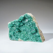 Genuine Green Fluorite from Namibia (4.1 lbs) picture