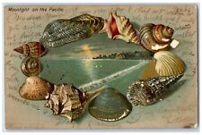 1906 Moonlight On The Pacific Shells Embossed Los Angeles CA Antique Postcard picture