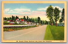 Bungalo Village Newfound Lake Bristol New Hampshire Street View Linen Postcard picture