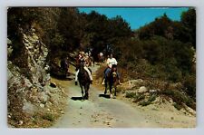 Mount Wilson CA- California, Mount Wilson Resort, Advertisement Vintage Postcard picture