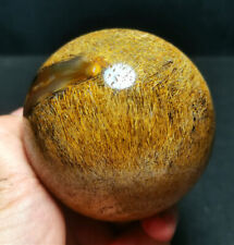 RARE Natural Beautiful Golden Hair Rutilated Agate Crystal Sphere Healing WD1408 picture