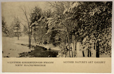 Winter Greetings from New Hampshire NH Vintage Postcard picture