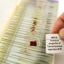 50 Kinds Set Medical Microscope Parasites Specimen Parasitology Prepared Slides picture