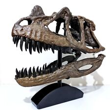 Ceratosaurus nasicornis dinosaur skull replica with support base picture