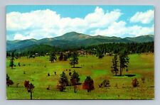 Ruidoso New Mexico Golf Course White Mountain Postcard picture