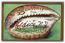 c1910's Souvenir From Mexico New York Maple View NY Embossed Seashell Postcard picture