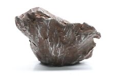 Sikhote-Alin Iron Meteorite Shrapnel Fragment: 21grams picture