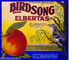 Thomaston Upson Georgia Peaches Birdsong Bird Peach Fruit Crate Label Art Print picture