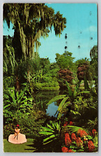 Postcard FL A Riot Of Colorful Flowers And Tropical Plants Cypress Gardens A24 picture
