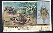 MARINE LIFE Vintage 1960 Trade Card PARASITES Sacculina on a CRAB picture