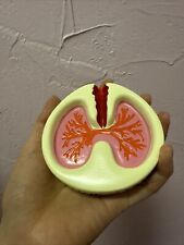 1Pcs Lung Shape Ashtray picture