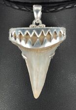 Fossil Shark Tooth Pendant – C. hastalis, Early White Shark Tooth, w/Silver Cap  picture