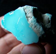 Turquoise Nugget Sleeping Beauty Robins Egg VIDEO 53.29 Grams Cabbing Rough USA picture