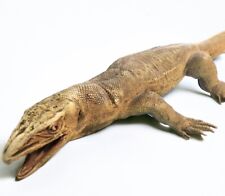 Vintage 1980’s AAA Monitor Lizard Oversized Toy Reptile Figure  28