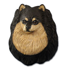 Pomeranian Head Plaque Figurine Black/Tan picture
