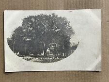 Postcard RPPC Auburn IN Indiana Big Old Elm Tree Antique Real Photo PC picture