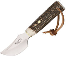 Muela Teckel Stag Handle Stainless Fixed Knife w/ Leather Belt Sheath 90852 picture