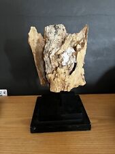 Driftwood Specimen On Metal Stand Live Bacteria White Powder Harmless 9 1/2 X2 picture