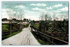 1912 View Of Belknap Avenue Newport New Hampshire NH Posted Antique Postcard picture
