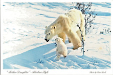 Mother Daughter Alaskan Style Polar Bear Vintage Sought After Unposted Postcard picture