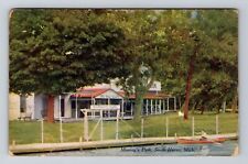 South Haven MI-Michigan, Mooney's Park, c1909 Antique Vintage Souvenir Postcard picture