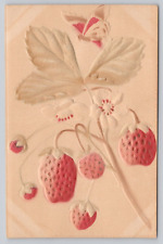 Postcard Embossed Strawberries and Butterfly UDB c 1907 picture