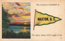 c1940 Lake You Ought To Be Pennant Maxton North Carolina NC  P549 picture