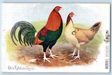 Old English Game Postcard Cock Rooster Animal Oilette Tuck 1918 Posted Antique picture