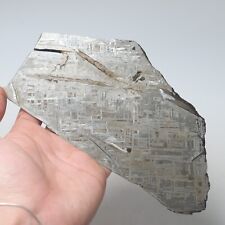 218g Muonionalusta meteorite part slice  A2667 picture