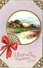 c1910 BRIGHT AND HAPPY CHRISTMAS RAPHAEL TUCK EMBOSSED POSTCARD 41-204 picture
