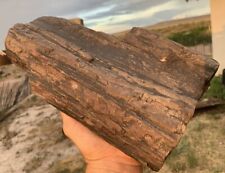 ☘️RR⚒: Detailed Solid Arizona Petrified Wood Log 9 Lb picture
