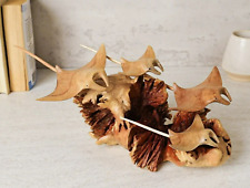 Manta Ray Family Sculpture, Coral Reef, Art,  Parasite Wood Statue, Gift for Her picture
