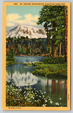 Washington Rainier Glacial Mountain Snow Pup Elevation c1940s Vintage Postcard picture
