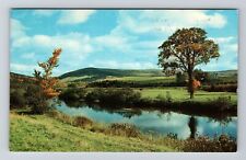 Keene ON-Ontario, Scenic View Pond, Vintage Postcard picture