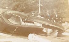 .1917 RARE REAL PHOTO POSTCARD, SPERM WHALE, THE BLUFF, DURBAN, SOUTH AFRICA. picture