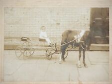 Vtg 1900s Photo Pony Tandem Carriage Pony Cart Riders Kids Baby CDV Photograph picture