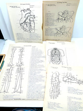 Lot (10) 1946 Denoyer-Geppert Anatomical Science medical Organ quiz pages KILLER picture