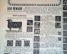 Rare PINEDALE WY Sublette County Wyoming w/ Cattle Brands Prints 1905 Newspaper  picture