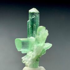 9 Cts Beautiful Termineted Tourmaline Crystal Bunch from Afghanistan picture