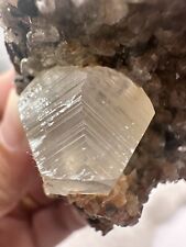 Calcite, clear xtls, Cumberland(likely Florence mine), England, ex Tate coll.() picture