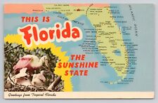 Postcard Greetings From Tropical Florida 1970 picture