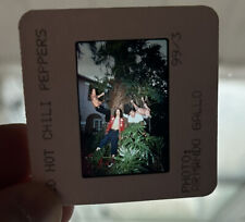 Vintage Red Hot Chili Peppers 35 mm Slide Press Release Photo A picture