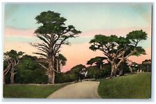c1940 Exterior Building Cypress 17 Mile Drive Del Monte California CA Postcard picture