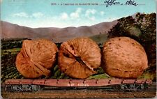 Exaggeration PC A Carload of Walnuts From Afton Oklahoma on Railroad Train Car picture